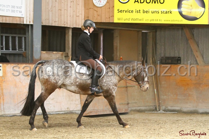 29-ApHC OHUS_026.jpg